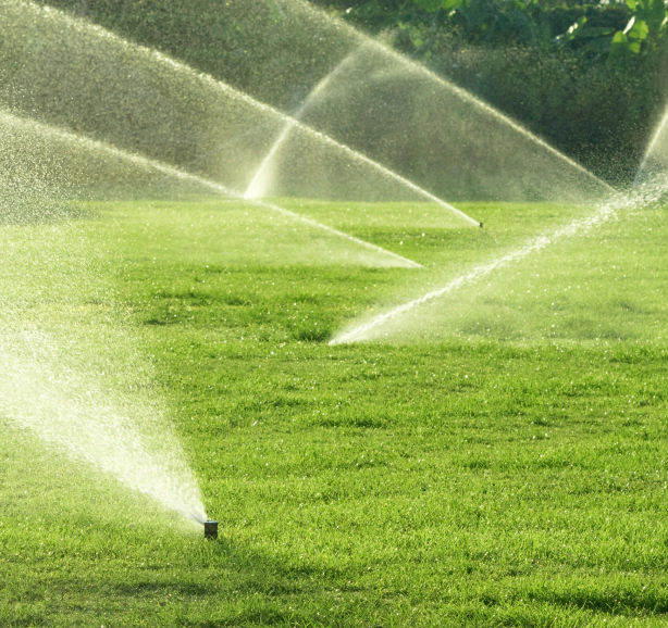 sprinklers in irrigation