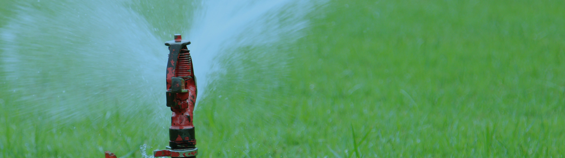 water irrigation with water sprinkler