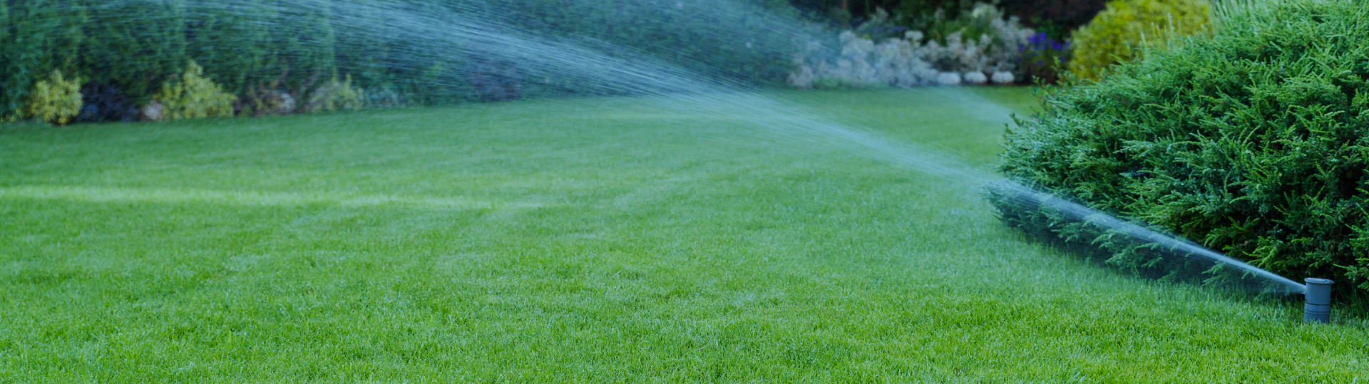 wide lawn with water sprinkler