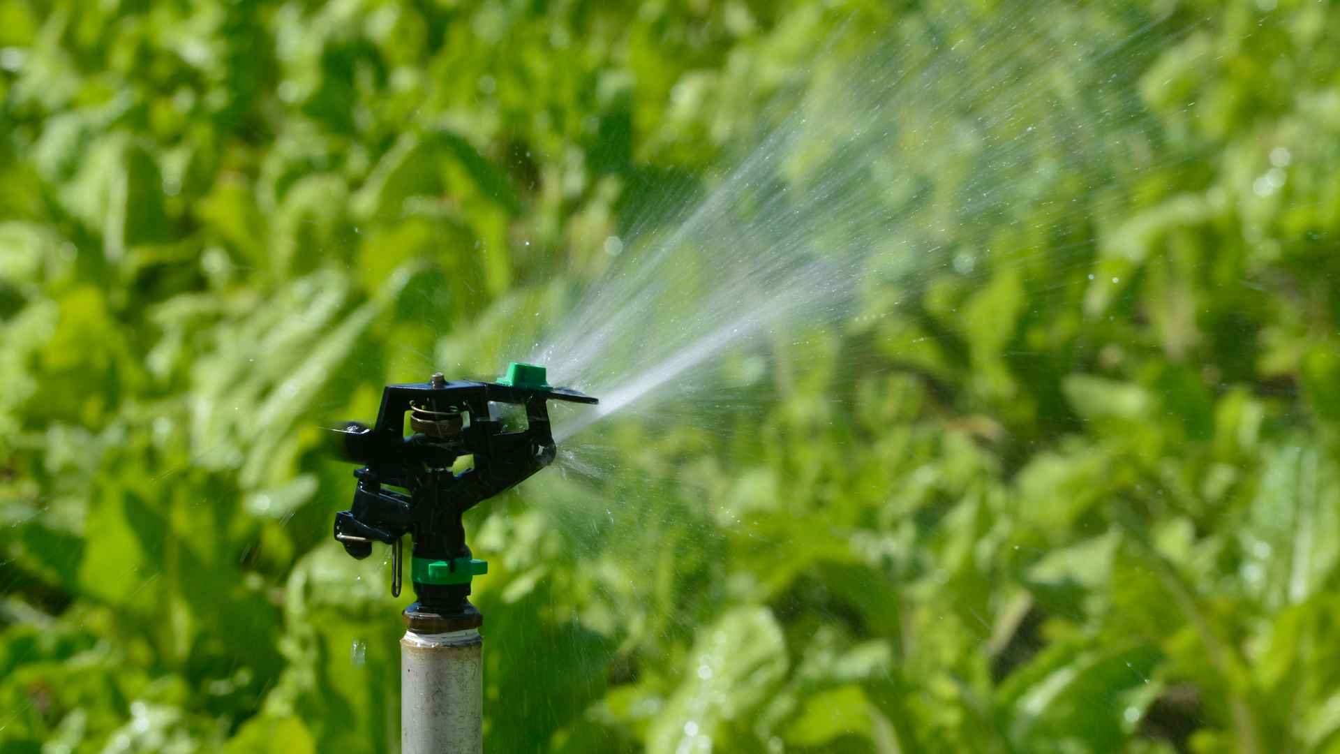 Irrigation System Installation 1
